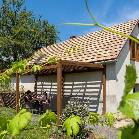 Tagyon Birtok Mandula Apartmanház Exteriér fotografie